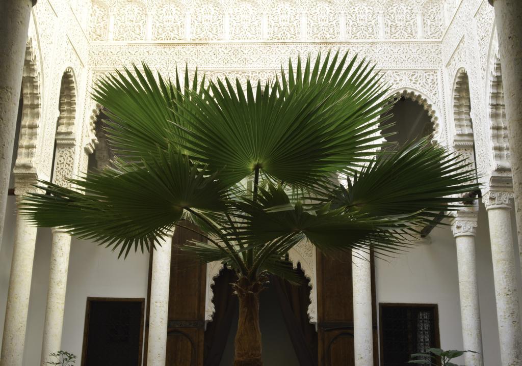 Riad Azahra Rabat Kültér fotó